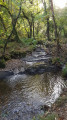 quiet path inland along the stream