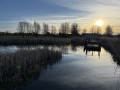 Radeau flottant sur la Narew au lever du soleil