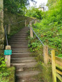 Radical Steps
