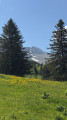 Le Col Vert en boucle