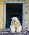 Rando de l'Ours