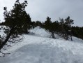 Au débouché de la foret vers le sommet.