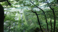 Randonnée au trail .Tours La Bathie