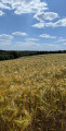 Randonnée Vallée de la Viosne