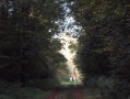 Randonneur à cheval