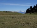 Randonneurs au pas de l'Essaure