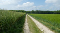 randonneurs en direction du Bois Garenne