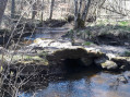 randoxaintrie