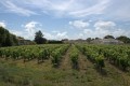 Campagne et vignes à Brem-sur-Mer