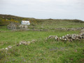 Rathlin