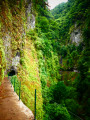 Levada da Ribeira da Janela