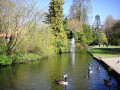 Maidenhead to Marlow