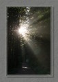 Rayons de soleil