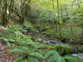 La Vallée D'Aure depuis Rebouc