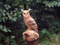 recontre avec les animaux de la forêt