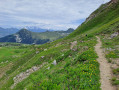 redescente vers La Plagne