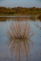 Tour de la Forêt de Savis et du Lac de Saint-Laurent Tour de la Forêt de Savis et du Lac de Saint-Laurent