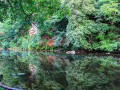 Reflections in the River Ayr