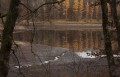 Reflet sur les étangs