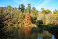 Reflets d'automne Reflets d'automne