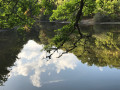 Reflets sur l'Etang Neuf Reflets sur l'Etang Neuf
