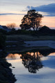 Reflets sur l'Horn