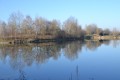 Reflets