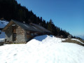 Refuge