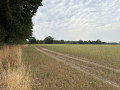 Sentier des biches à Montrevault-sur-Èvre