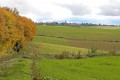 Regard d'automne