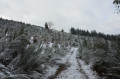 Regarder derrière avant de rentrer à nouveau dans la forêt