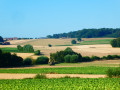 Balade agricole à Oeudeghien