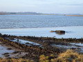 Remains of the houseboat Ionia