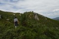 Remontée du retour à travers des aubépines qui se raréfient enfin Remontée du retour à travers des aubépines qui se raréfient enfin
