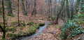 Durch die Wälder von Tihange und Neuville-sous-Huy