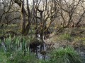 Cens, Erdre et Gesvres, trois cours d'eau nantais