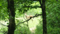 Rencontre avec la faune locale