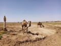 Rencontre avec la faune locale