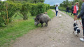 Rencontre insolite