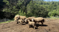 Rencontre sur la Boucle
