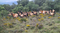 Rencontre sympathique en cours de route