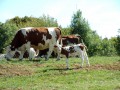 Rencontre sympatique