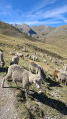 Lac de Terres Plaines depuis la route du Col de Restefond