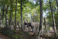 Rencontre