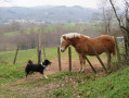 Rencontre