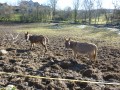 Rencontre