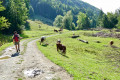Sentier des Maîtres du Mont Déserté Sentier des Maîtres du Mont Déserté
