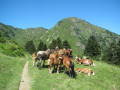Rencontre Rencontre