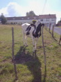 Rencontre