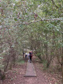 Kevie Nature Reserve: Boardwalks